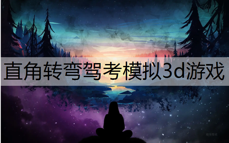 直角转弯驾考模拟3d游戏